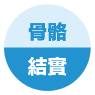 不老rejeune、rejeune、結實骨骼